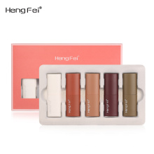 2021 Hot Sales Lipstick Private Label 5 Colors  lip gloss Set  Mini Matte Lipstick Long-lasting Waterproof Matte cosmetic